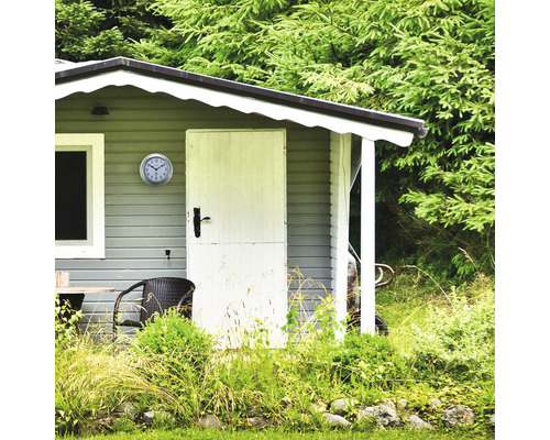 Cabana de grădină cu ceas, ușă, fereastră și vegetație