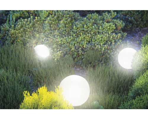 Scenă cu lămpi de grădină în formă de sferă printre plante