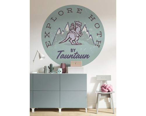 Decor de perete cu un motiv din saga Star Wars într-o cameră de copii.