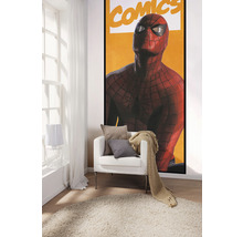 Cameră decorativă cu fotolii, perne, pătură și poster Spider-Man