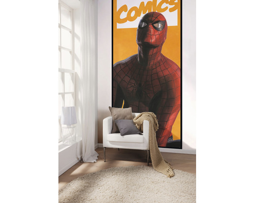 Cameră decorativă cu fotolii, perne, pătură și poster Spider-Man