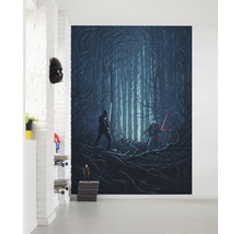 Fototapet vlies IADX4-003 Into Adventure Star Wars Wood Fight 200x280 cm