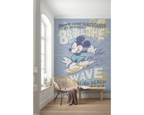 Cameră cu un fototapet care îl înfățișează pe Mickey Mouse făcând surf pe un val, cu textul Pacific Coast Surfboards.