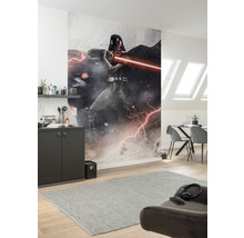 Fototapet vlies IADX4-025 Into Adventure Star Wars Vader Dark Forces 200x280 cm