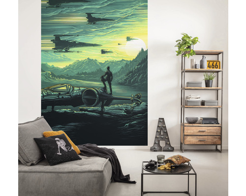 Pictură murală decorativă cu motiv Star Wars într-un living