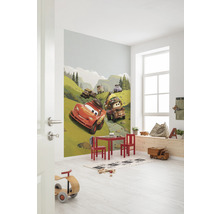 Fototapet vlies IADX4-034 Into Adventure Disney Cars Camping 200x280 cm