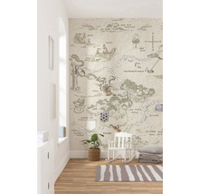 Fototapet vlies IADX4-042 Into Adventure Winnie Pooh Map 200x280 cm