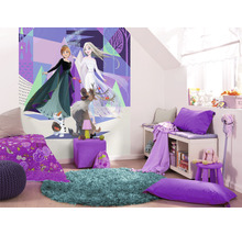 Fototapet vlies IADX4-059 Into Adventure Disney Frozen Abstract Arendelle 200x280 cm