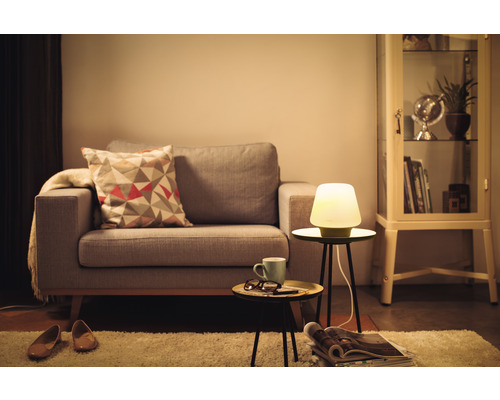 Cameră de zi cu canapea, lampă de masă și decorațiuni pentru o atmosferă confortabilă