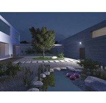 Grădină iluminată cu iaz, pietre, plante și casă modernă