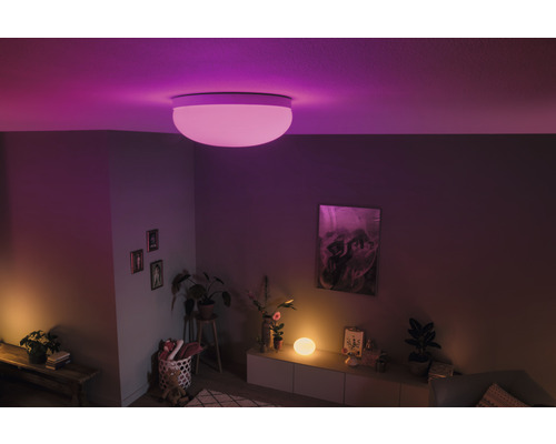 Living cu plafonieră, plante de interior și decorațiuni.