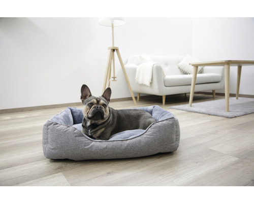 Câinele stă întins într-un pat gri pentru câini, într-o cameră de zi.