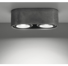 Lumină de tavan gri din beton cu două surse de lumină