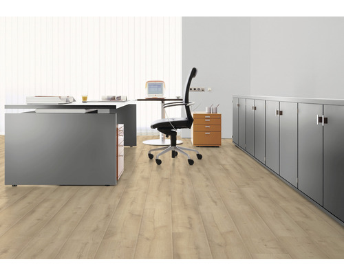 Spațiu de birou cu birou, scaun de birou, container mobil, dulap și podea laminată
