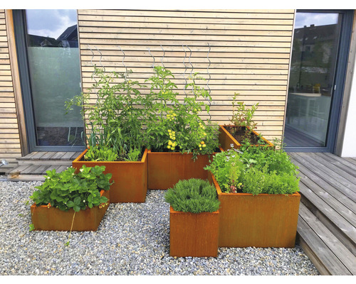 Mai multe straturi înălțate din metal cu plante pe un teren pietruit în fața unei case.