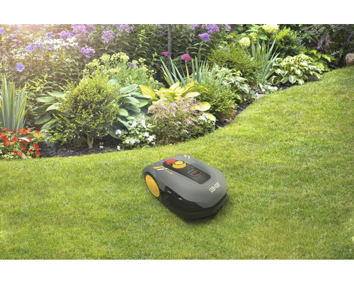 Robot de tuns iarba pe gazon în fața unui rond de flori