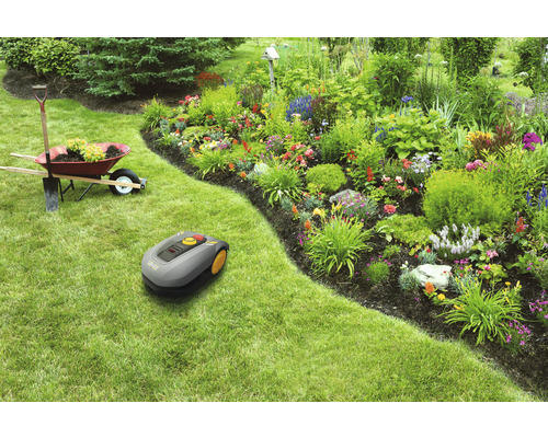 Robot de tuns iarba pe gazon lângă roabă și strat de flori