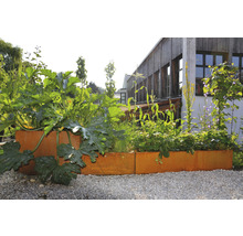 Jardinieră înaltă cu plante în grădină, în fața unei clădiri