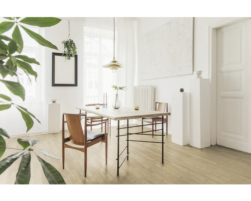 Zonă de luat masa luminoasă, cu podea din lemn, masă, scaune și decorațiuni