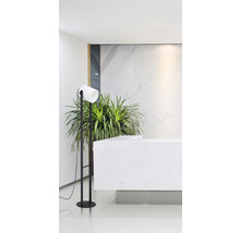 Lampă de podea lângă un birou de recepție și o plantă de apartament