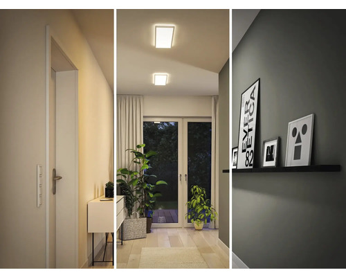 Hol cu ușă, comodă, plante de interior, lămpi de tavan și raft de perete cu imagini