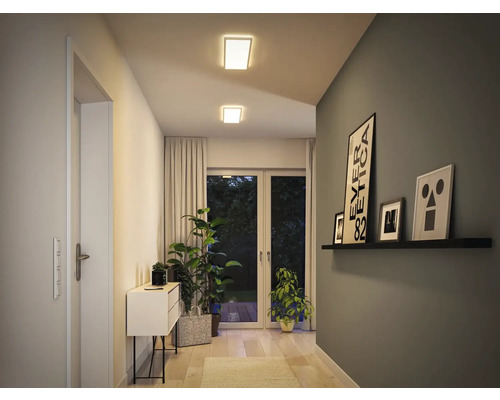 Hol cu lămpi de tavan, dulap cu sertare, plante, imagini și ușă