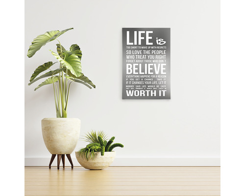 Scenă decorativă cu plante de interior și artă murală cu un citat inspirațional despre viață