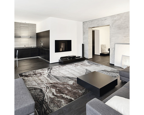 Cameră de zi cu covor modern, canapea, măsuță de cafea neagră și televizor.