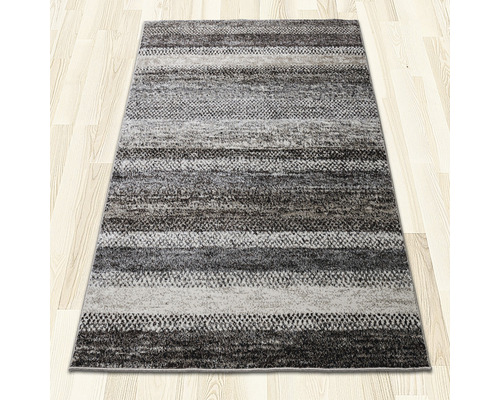 Covor Phoenix 5046 bej-maro 200x300 cm | HORNBACH