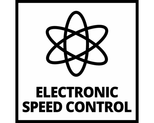 Control electronic al vitezei