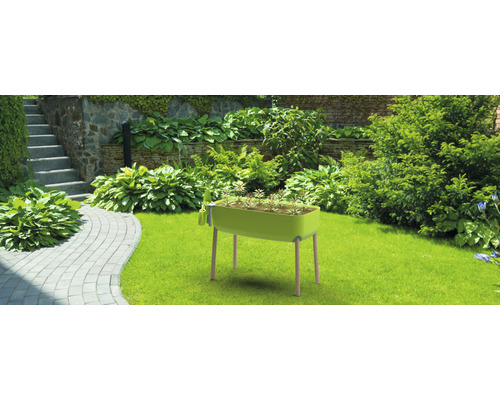 Jardiniere înălțată cu plante în grădină