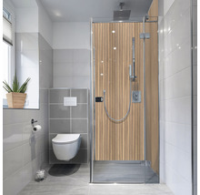 Baie cu duș, toaletă și fereastră