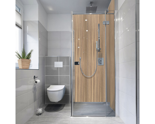 Baie cu duș, toaletă și fereastră