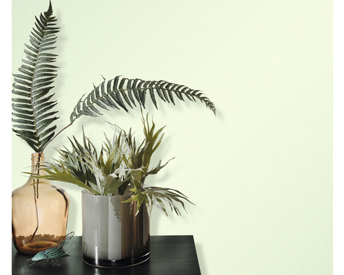 Plante decorative de interior în vaze pe o masă