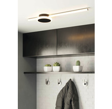 Plafonieră modernă cu design liniar și iluminare rotundă de accent într-un hol cu garderobă și decorațiuni