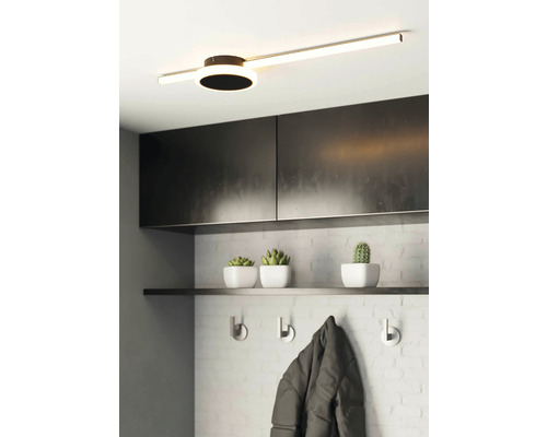 Plafonieră modernă cu design liniar și iluminare rotundă de accent într-un hol cu garderobă și decorațiuni