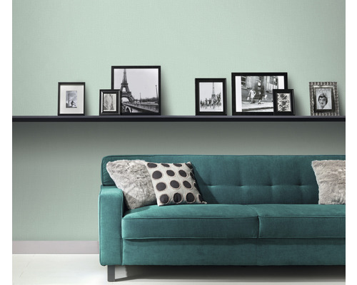 Cameră de zi cu raft, imagini și canapea verde