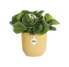 Mască ghiveci elho Vibes plastic Ø 11,1 cm H 10,5 cm galben