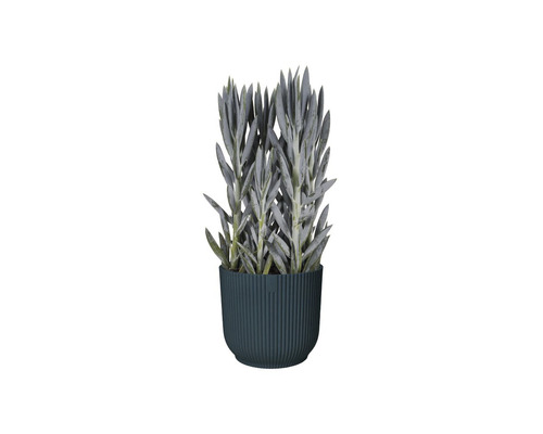 Plantă artificială în ghiveci pentru decorarea interioară