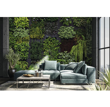 Fototapet vlies Imitations 2 Garden 400x270 cm