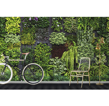 Fototapet vlies Imitations 2 Garden 400x270 cm