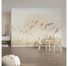 Fototapet vlies LJX8-063 Le Jardin Dune Grass 400x250 cm