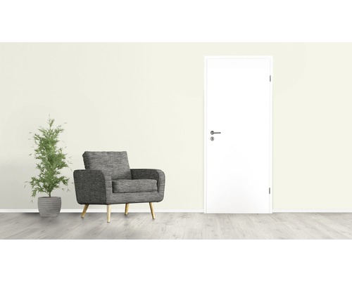 Scenă cu fotoliu, plantă de interior și ușă interioară