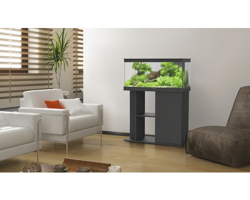 Cameră de zi cu acvariu pe dulap