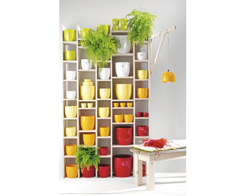 Raft cu vase pentru plante de diferite dimensiuni și culori, împreună cu plante și o lampă