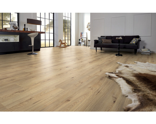 Living luminos cu podea laminată cu aspect de lemn, canapea și decorațiuni