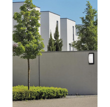 Aplică LED exterior Avila 12W 1080 lumeni IP65, aluminiu negru