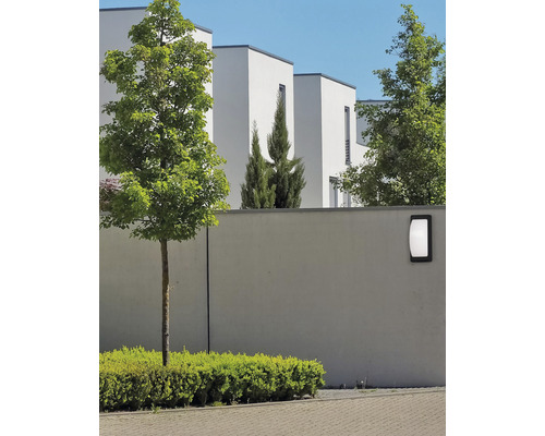 Lumină de perete exterior pe un zid de beton într-o grădină