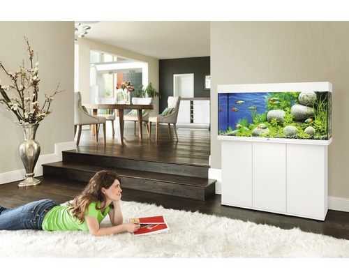 Living cu acvariu pe dulap și femeie pe covor