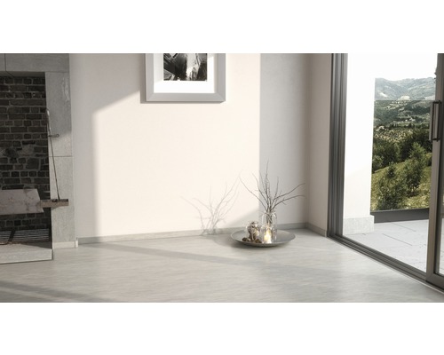 Cameră luminoasă cu șemineu, fereastră și decorațiuni